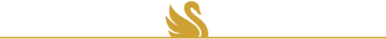 assisted-living-memory-care-divider-Aravilla-Sarasota Assisted Living & Memory Care Divider Graphic Aravilla Sarasota